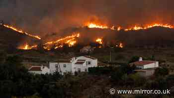 Spain wildfires: 'I was a fireman for 15 years but I've never seen anything this ferocious'