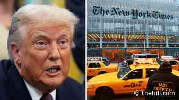 Trump rips Haberman, says she'll ‘pay the price’ over health reporting
