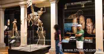 A Sydney skeleton and its century-old link to the bush: the tale of Sir Hercules