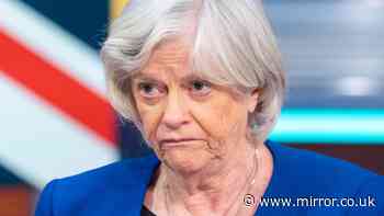 Ann Widdecombe's final messages revealed in haunting exchange as she wrote 'panic over!' before death