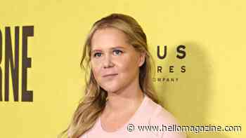 Amy Schumer proudly highlights C-section scar after weight loss journey: 'I'm a warrior'