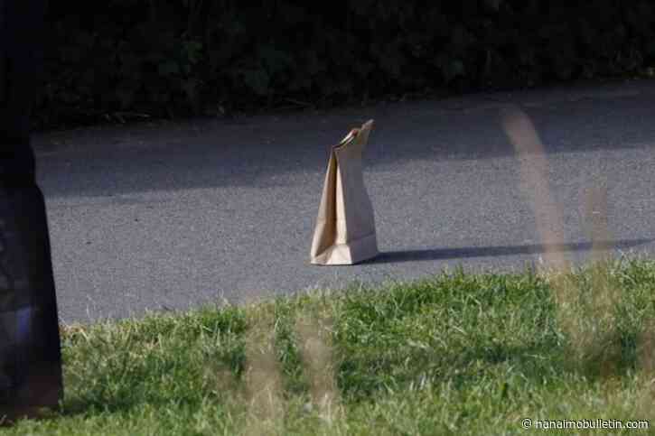 Vancouver Island police investigating assault after man found injured in park