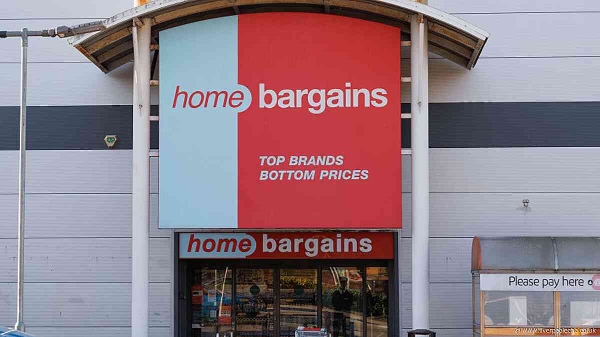 Home Bargains 'effortless' £3.99 lights add a floral touch to gardens