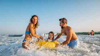 The best things to do with kids this summer in Pembrokeshire, Carmarthenshire and Ceredigion