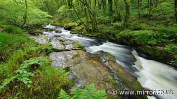 Body of man, in 70s, recovered from river in Cornwall in 'tragic accident'