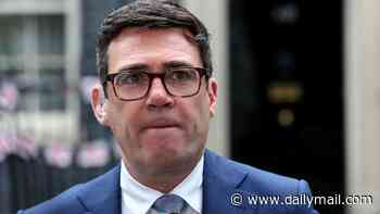 Toe-curling antics of Labour MPs in 'Pestminster' dossier being used by rivals to stop them getting top jobs in Burnham's government