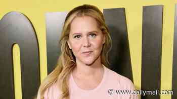 Amy Schumer shows off weight loss in bikini as she reveals why she's a 'warrior'... after going viral for slamming Taylor Swift's wedding