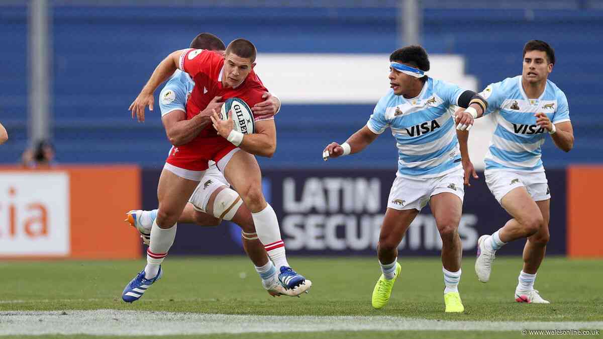 Wales player ratings v Argentina as partnership struggles but props impress