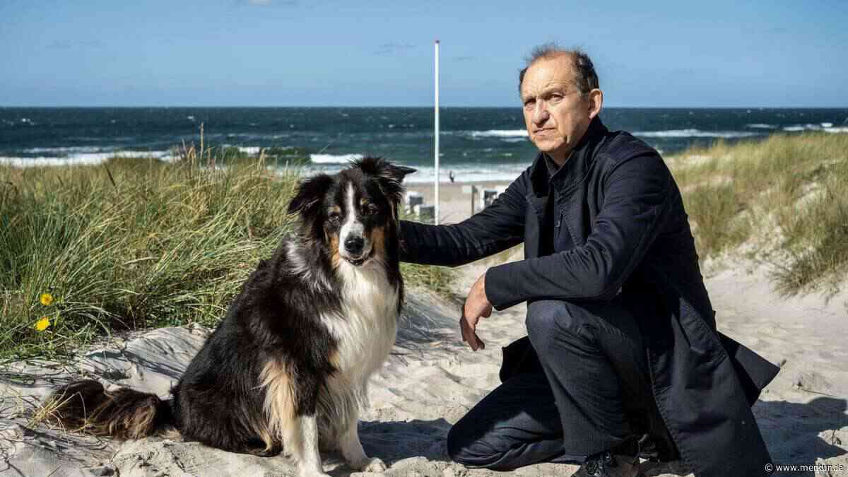 Menschen und Tiere auf Sylt