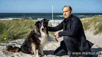 Menschen und Tiere auf Sylt