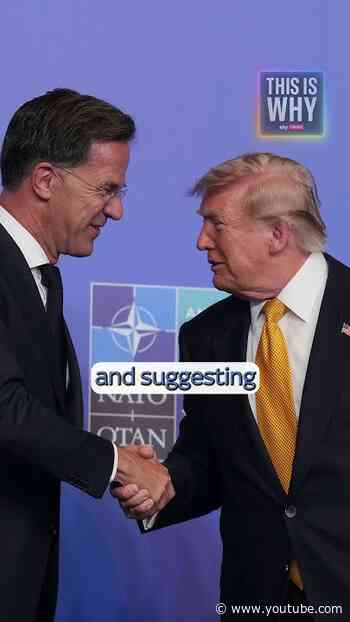 Mark Rutte The Trump whisperer | This Is Why