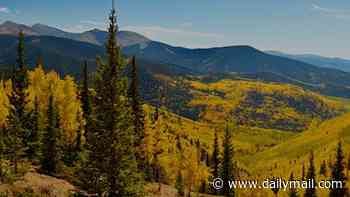 A phantom billionaire is haunting America's mountain wilderness: Now our investigation brings mysterious heir and his 'toy box' plan out of the shadows