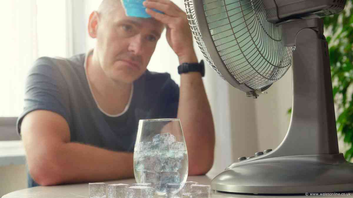 The 'viral TikTok heatwave trick' that could invalidate your home insurance