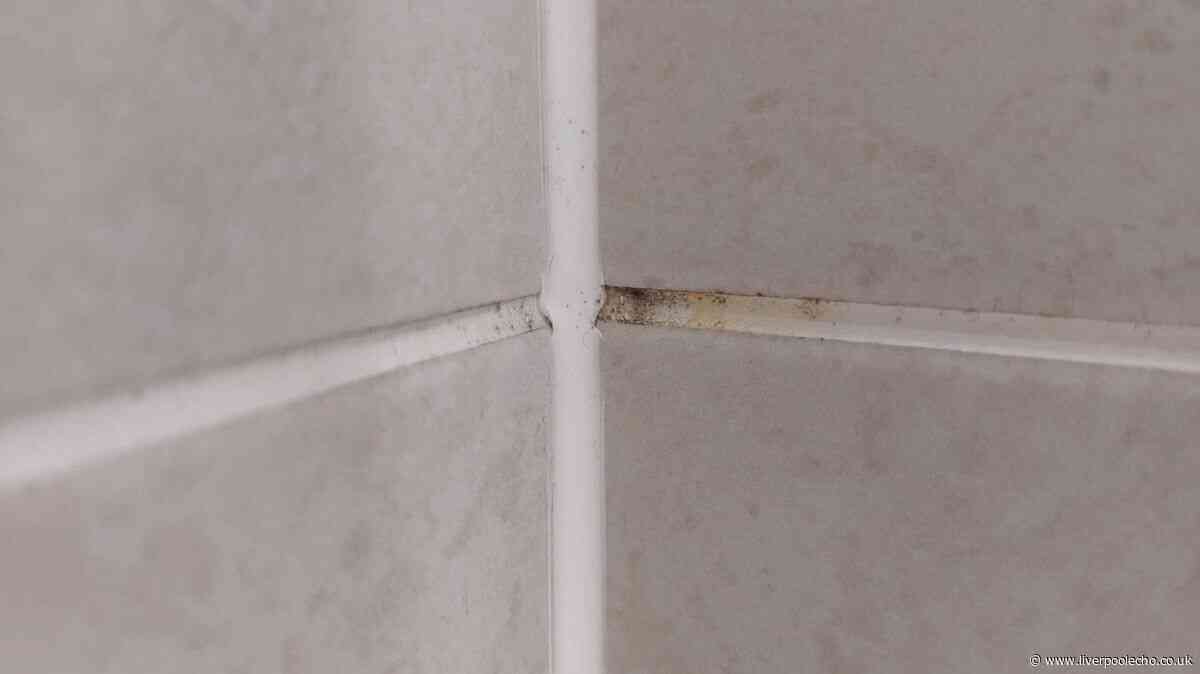 I compared Mould Magic, Astonish and HG for removing grout mould — winner worked in 30 minutes