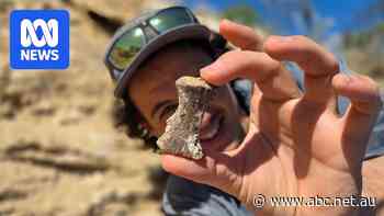 The man solving the '100-million-year-old cold case' death of a dinosaur