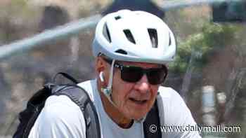 Harrison Ford, 83, shows off impressive physique as he goes SHIRTLESS in public on LA outing