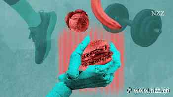 Wie gut berät KI im Bereich Sporternährung?