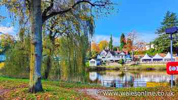 Not Ludlow, Oswestry or Whitchurch — the little market town near Wales with UK's best high street