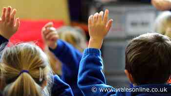 All the staff in Wales' schools struck off and disciplined this year