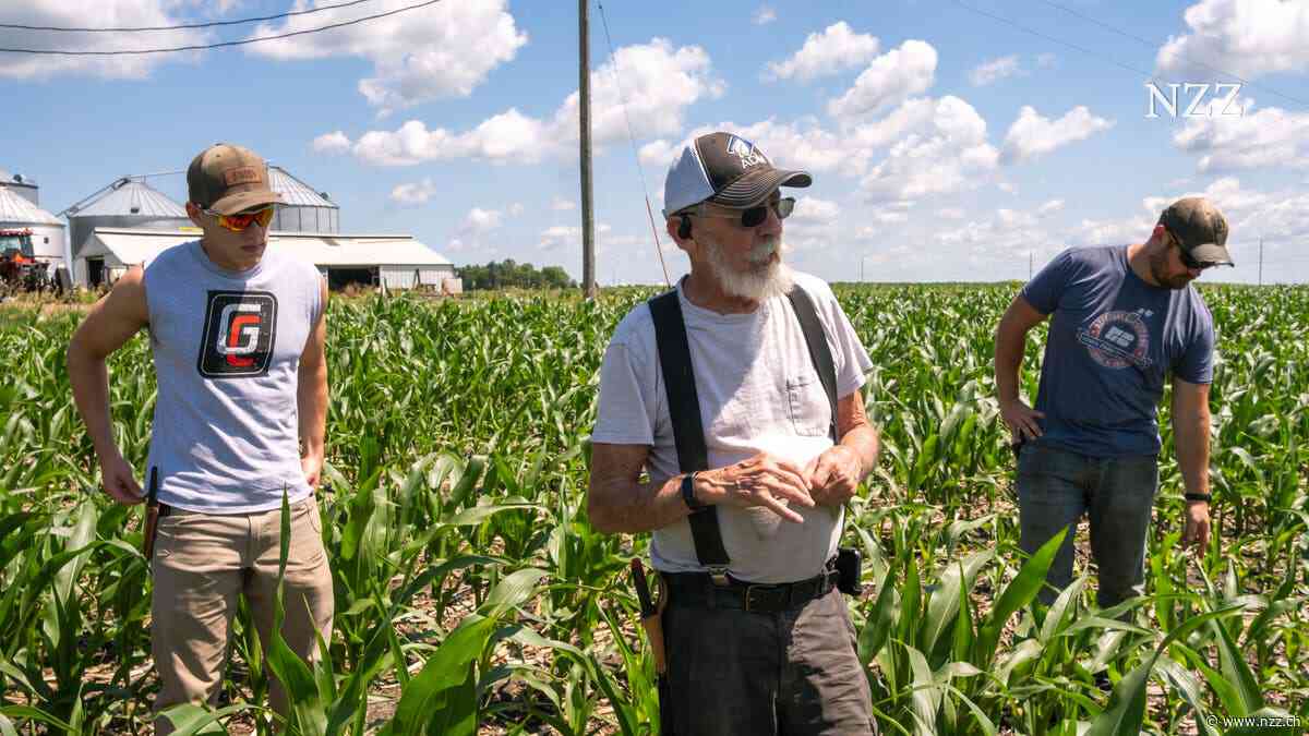 Donald Trump versprach Amerikas Bauern ein «goldenes Zeitalter». Auf dem Hof der Familie Bardole in Iowa ist das Gegenteil eingetreten
