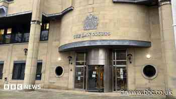 Sex offender who 'shocked' driver sentenced