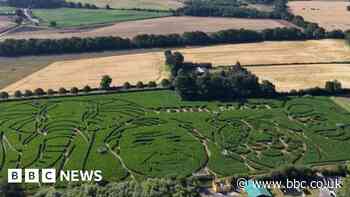 A-maze-ing tribute to Sir David Attenborough
