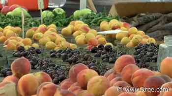'That's special, that's rare': A look into ABQ Downtown Growers' Market amid 30 year celebration