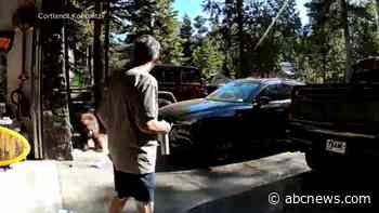 WATCH:  California man fights off charging bear near Lake Tahoe