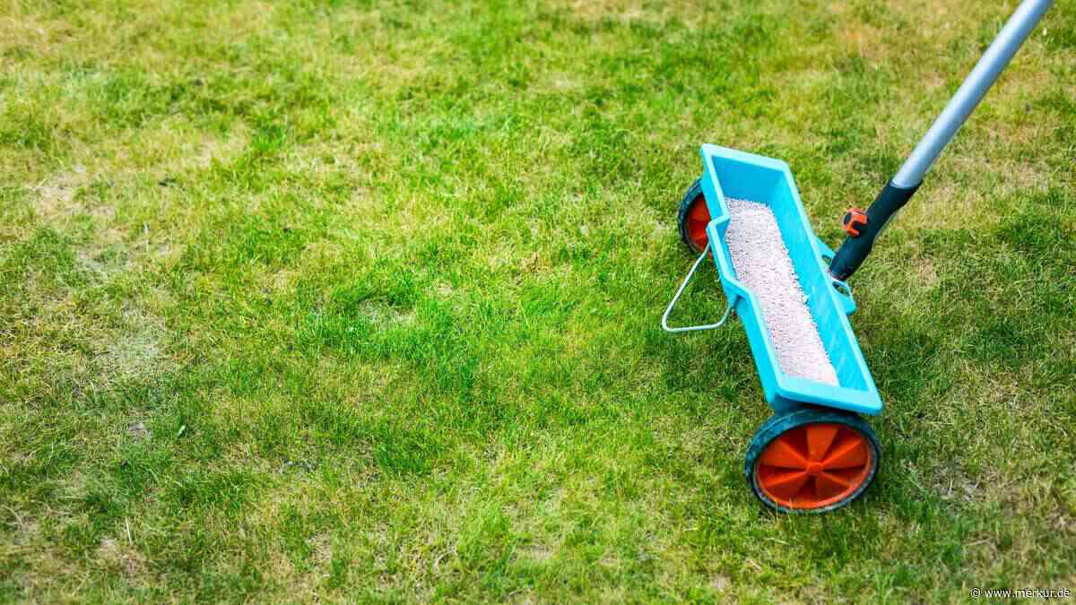 Bloß nicht jetzt düngen: Die häufigsten Garten-Fehler im Sommer – und wie Sie sie vermeiden