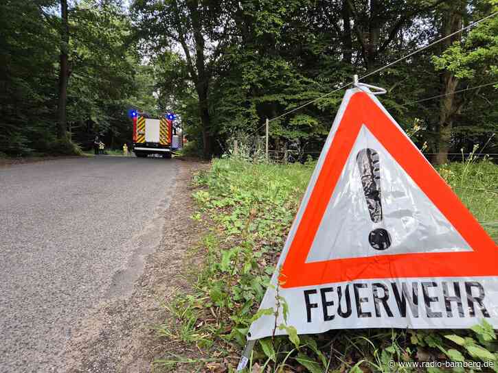 Feuerwehren: Brauchen mehr Technik für Waldbrand-Einsätze