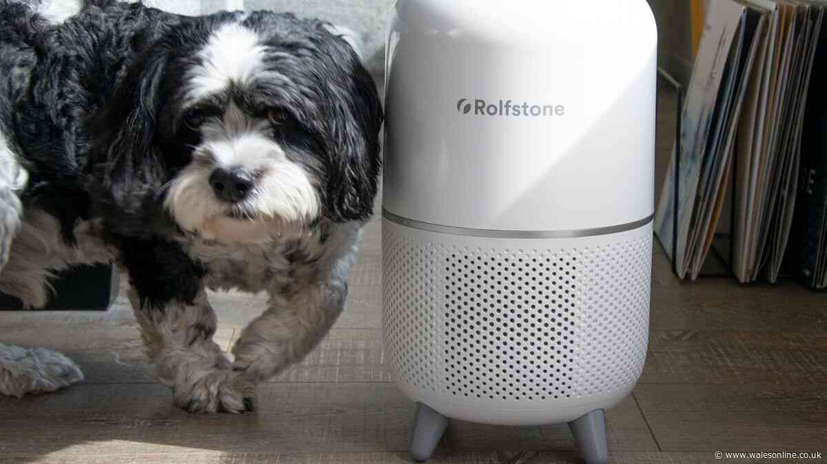 Review: Rolfstone Air Balance Purifier keeps life simple