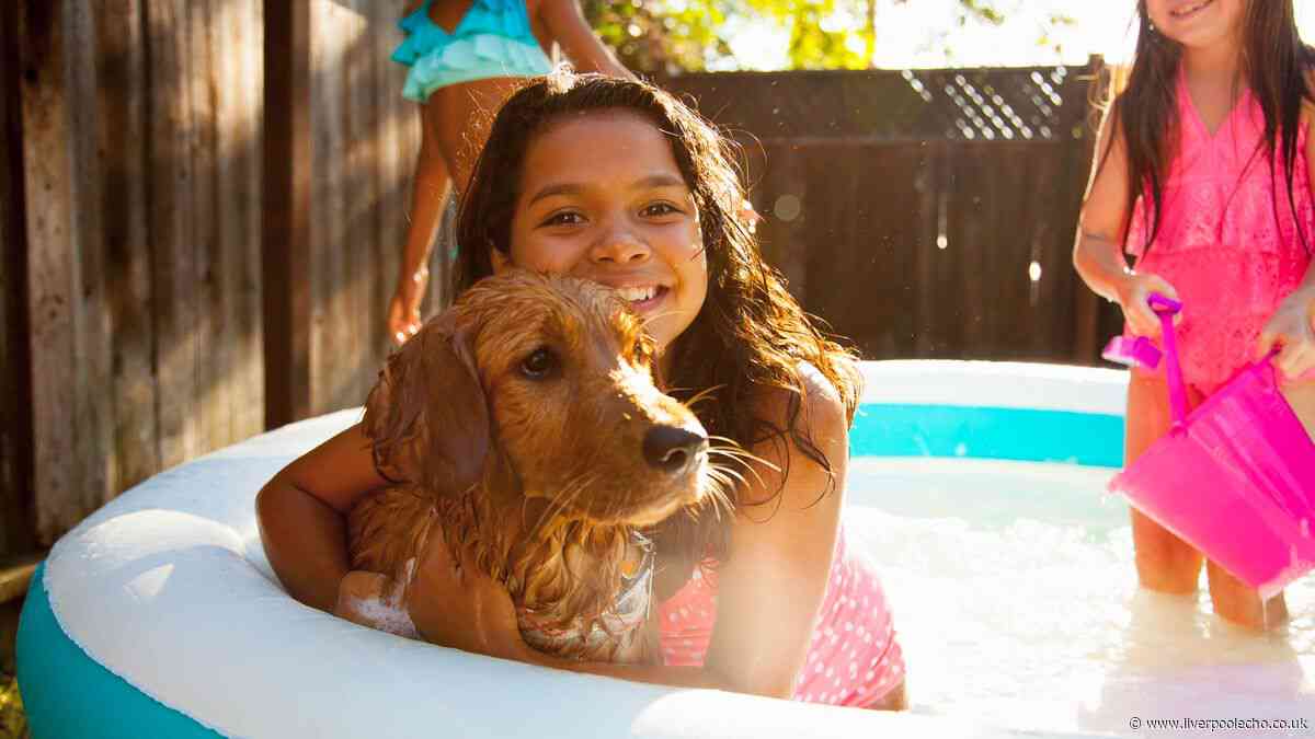 Sainsbury's shoppers snap up £15 paddling pool that's a 'life-saver in the heatwave'