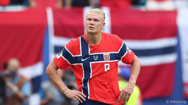 Haaland vows Norway will build on historic run after World Cup exit