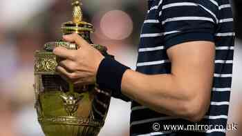 Wimbledon hero who went bankrupt had to auction off trophies and sell £9m property