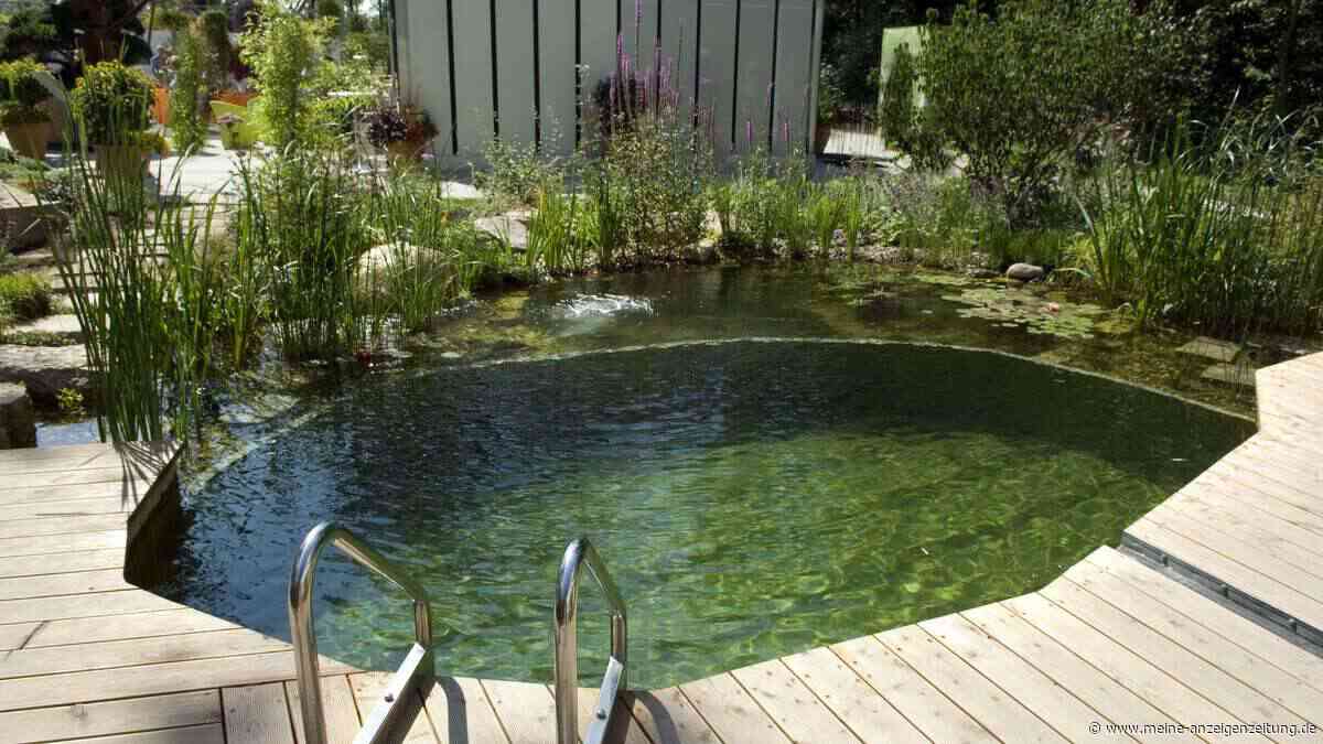 Kein Chlor, keine Chemie – so wird der Pool im Garten zum Naturerlebnis