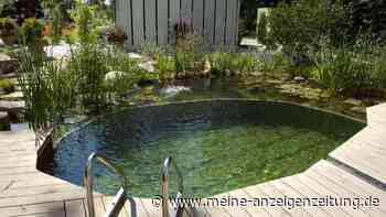 Kein Chlor, keine Chemie – so wird der Pool im Garten zum Naturerlebnis