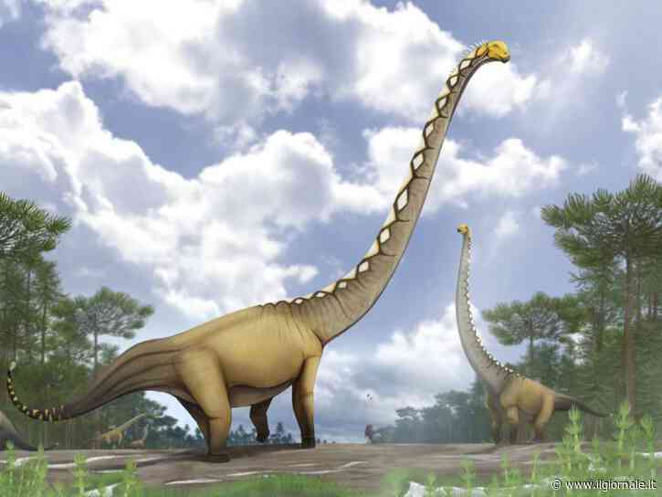 Un nuovo dinosauro gigante scoperto in Thailandia grazie a una sola vertebra