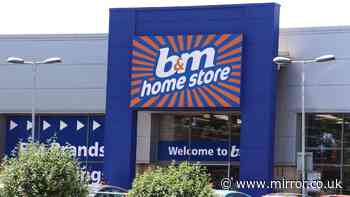 'Keep bugs out' of homes this summer by setting up £3 B&M kit