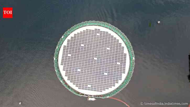 How floating solar panels created a new home for thousands of salmon at a Chile fish farm