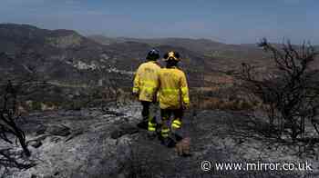 British couple saved from deadly wildfire after spending hours trapped in ravine