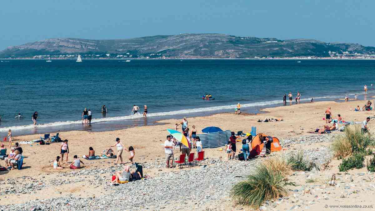 UK heatwave warning as 'extreme' wildfire risk confirmed