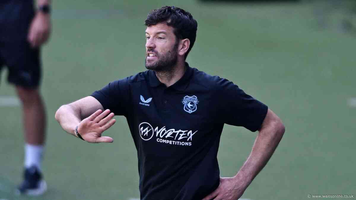 Brian Barry-Murphy reveals Vincent Tan talks as Cardiff City transfer plan emerges