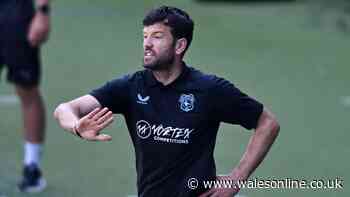 Brian Barry-Murphy reveals Vincent Tan talks as Cardiff City transfer plan emerges