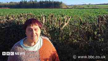 Grandmother refuses to sell garden blocking bypass