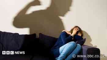 World Cup domestic abuse calls 'up by a fifth'