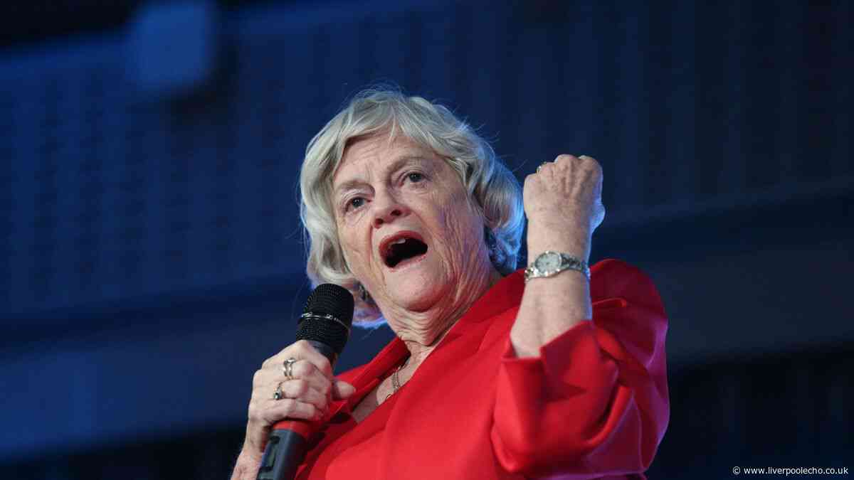 Ann Widdecombe's final texts released as producer asked her 'is everything okay Ann?'