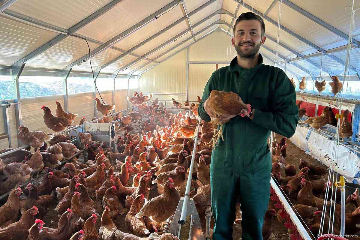 « On aime les animaux, c’était plein air ou rien » : ce jeune couple lance son projet de vie, un élevage de poules pondeuses dans l’arrière-pays de Grasse