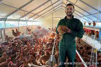 « On aime les animaux, c’était plein air ou rien » : ce jeune couple lance son projet de vie, un élevage de poules pondeuses dans l’arrière-pays de Grasse