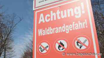Wetterdienst verzeichnet zunehmende Waldbrandgefahr in Deutschland