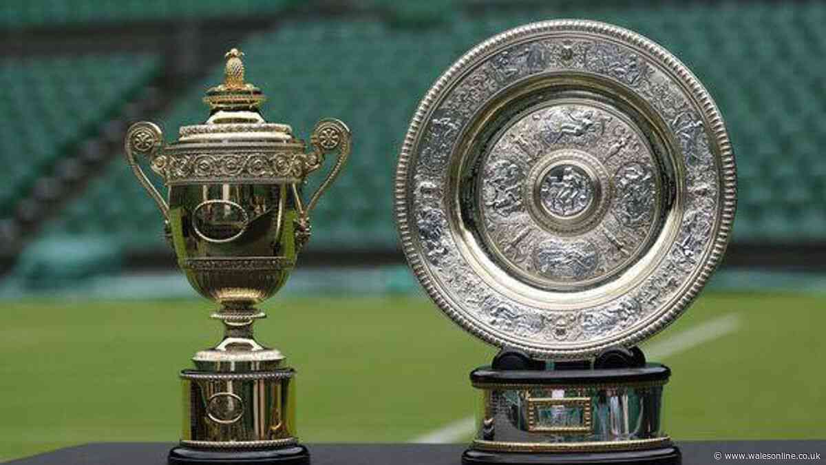 How much will Jannik Sinner and Alexander Zverev earn? Wimbledon final prize money